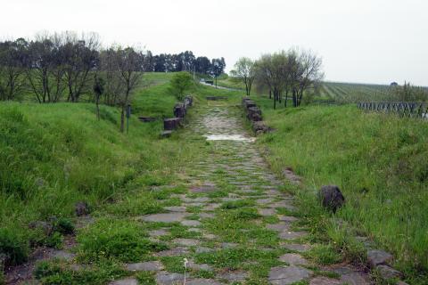 Ponte Loreto 5